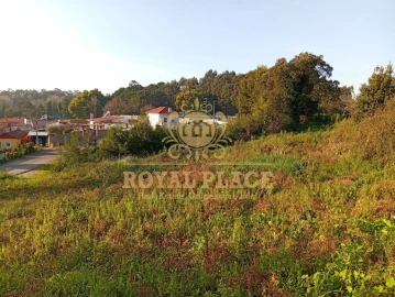 Terreno para Venda em Paços de Brandão