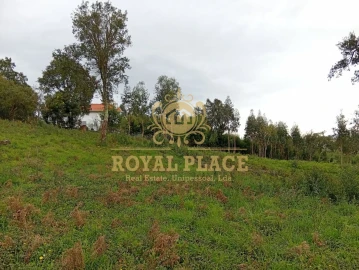 Terreno para Venda em Paços de Brandão