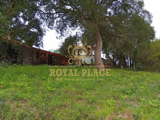 Terreno para Venda em Paços de Brandão Foto 27