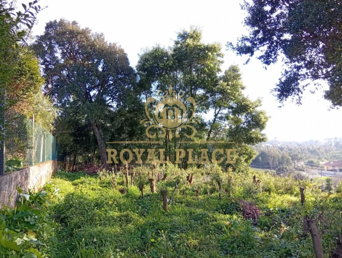 Terreno para Venda em Paços de Brandão Foto 25