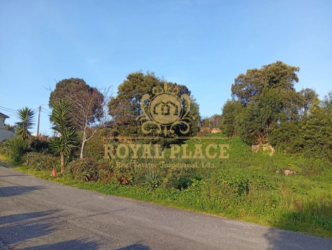 Terreno para Venda em Paços de Brandão Foto 24