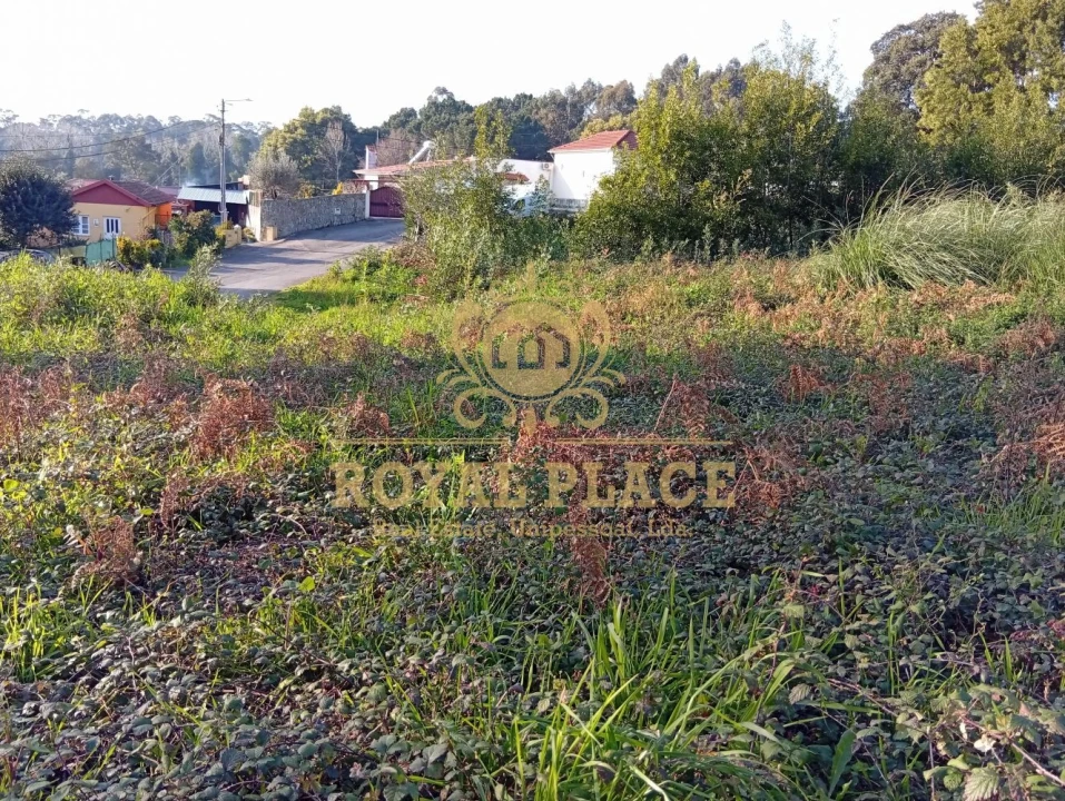 Terreno para Venda em Paços de Brandão Foto 10