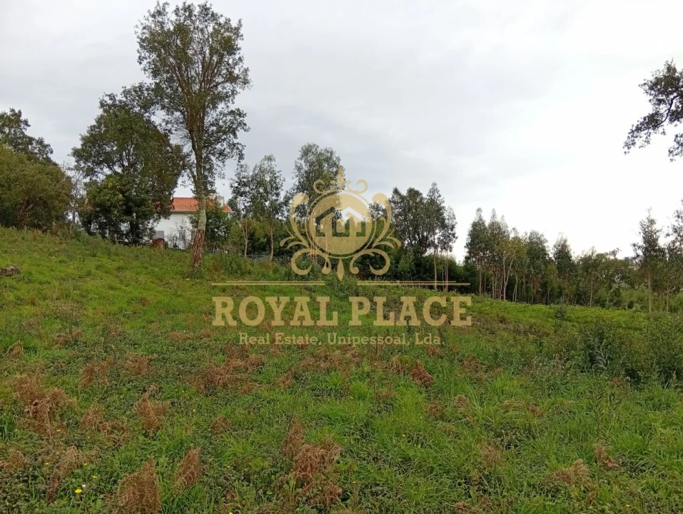 Terreno para Venda em Paços de Brandão Foto 6