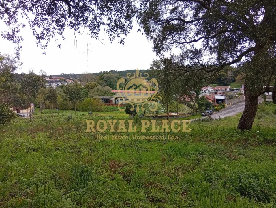 Terreno para Venda em Paços de Brandão Foto 5