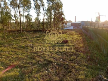 Terreno para Venda em Santa Maria de Lamas