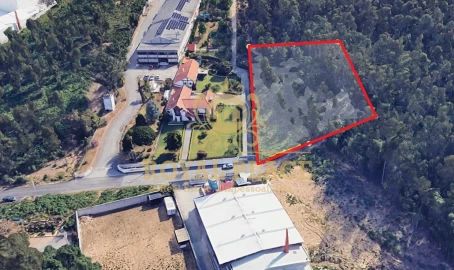 Terreno para Venda em Santa Maria de Lamas