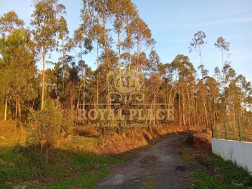 Terreno para Venda em Santa Maria de Lamas