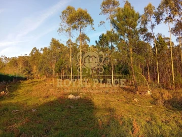 Terreno para Venda em Santa Maria de Lamas