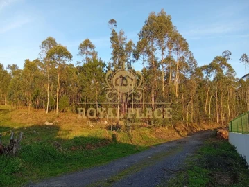 Terreno para Venda em Santa Maria de Lamas