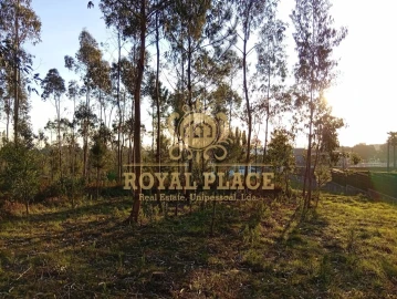 Terreno para Venda em Santa Maria de Lamas