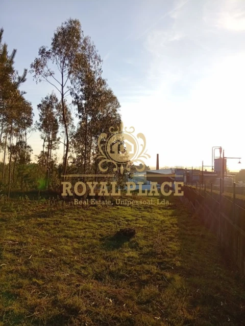 Terreno para Venda em Santa Maria de Lamas