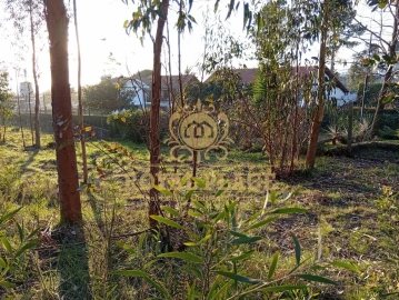 Terreno para Venda em Santa Maria de Lamas