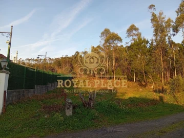 Terreno para Venda em Santa Maria de Lamas