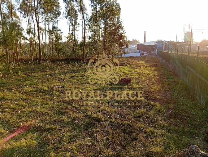 Terreno para Venda em Santa Maria de Lamas Foto 13