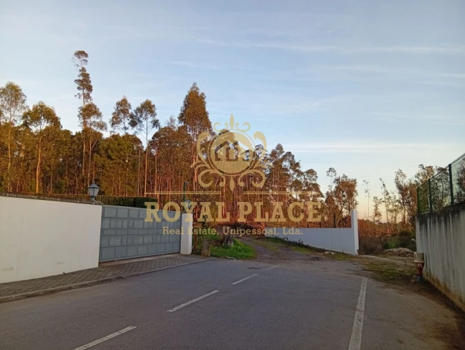 Terreno para Venda em Santa Maria de Lamas Foto 6