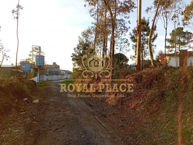 Terreno para Venda em Santa Maria de Lamas Foto 10