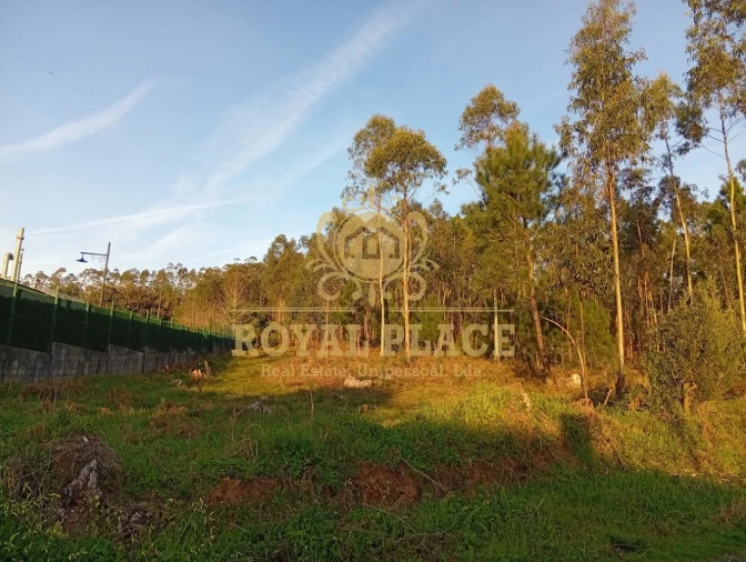 Terreno para Venda em Santa Maria de Lamas Foto 21