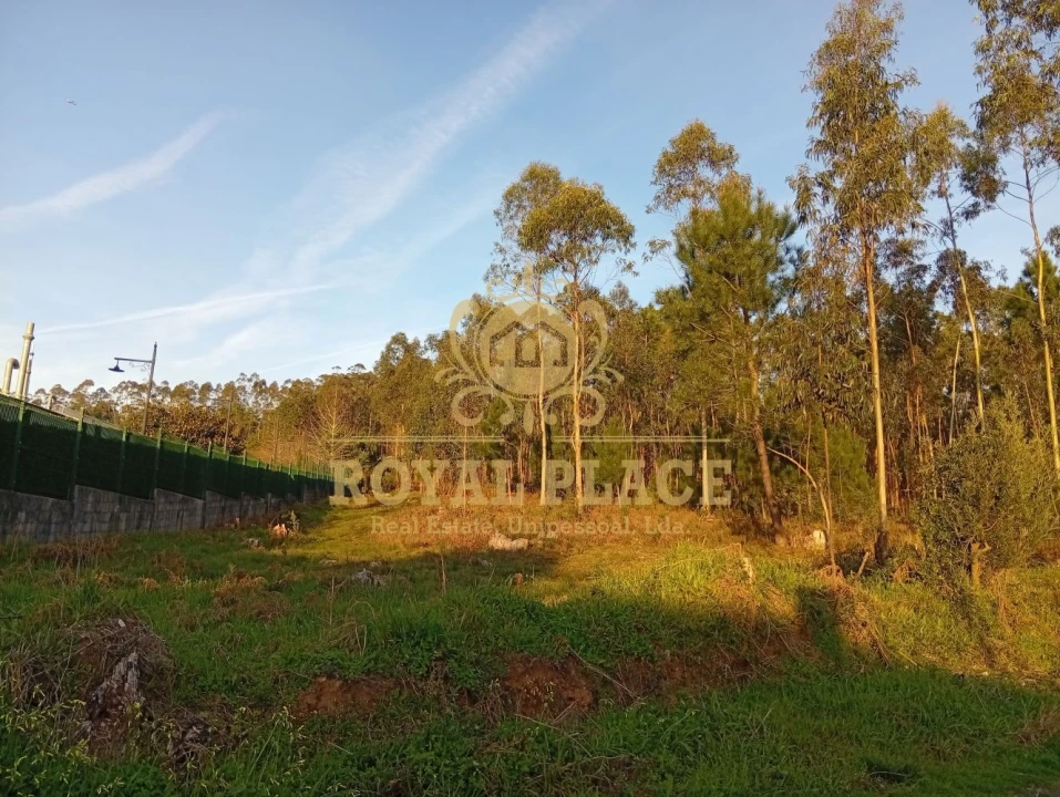 Terreno para Venda em Santa Maria de Lamas Foto 21