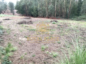 Terreno para Venda em Santa Maria da Feira, Travanca, Sanfins e Espargo