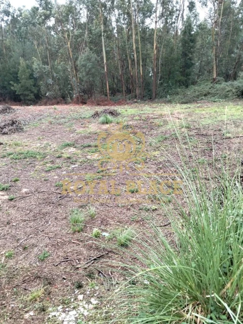 Terreno para Venda em Santa Maria da Feira, Travanca, Sanfins e Espargo