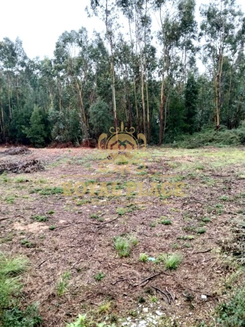 Terreno para Venda em Santa Maria da Feira, Travanca, Sanfins e Espargo