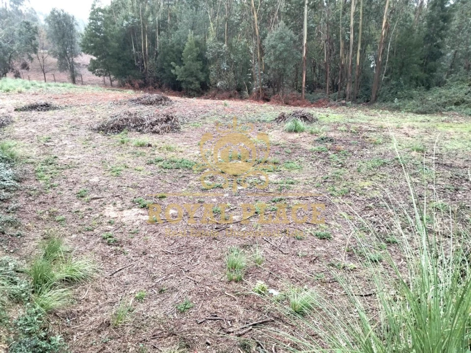 Terreno para Venda em Santa Maria da Feira, Travanca, Sanfins e Espargo Foto 3