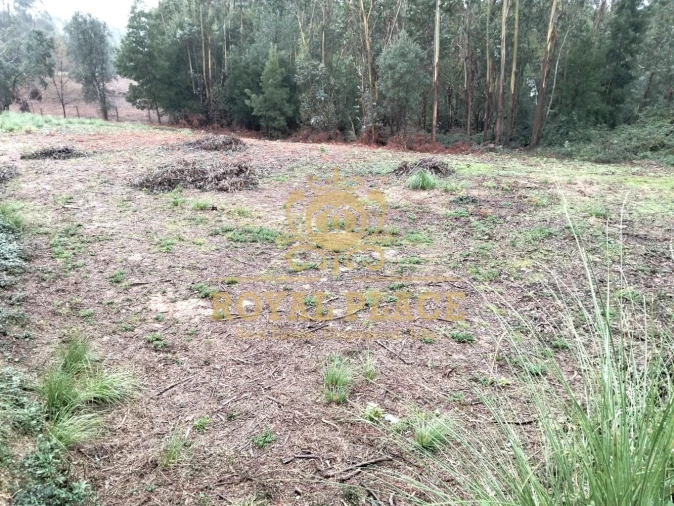 Terreno para Venda em Santa Maria da Feira, Travanca, Sanfins e Espargo Foto 3