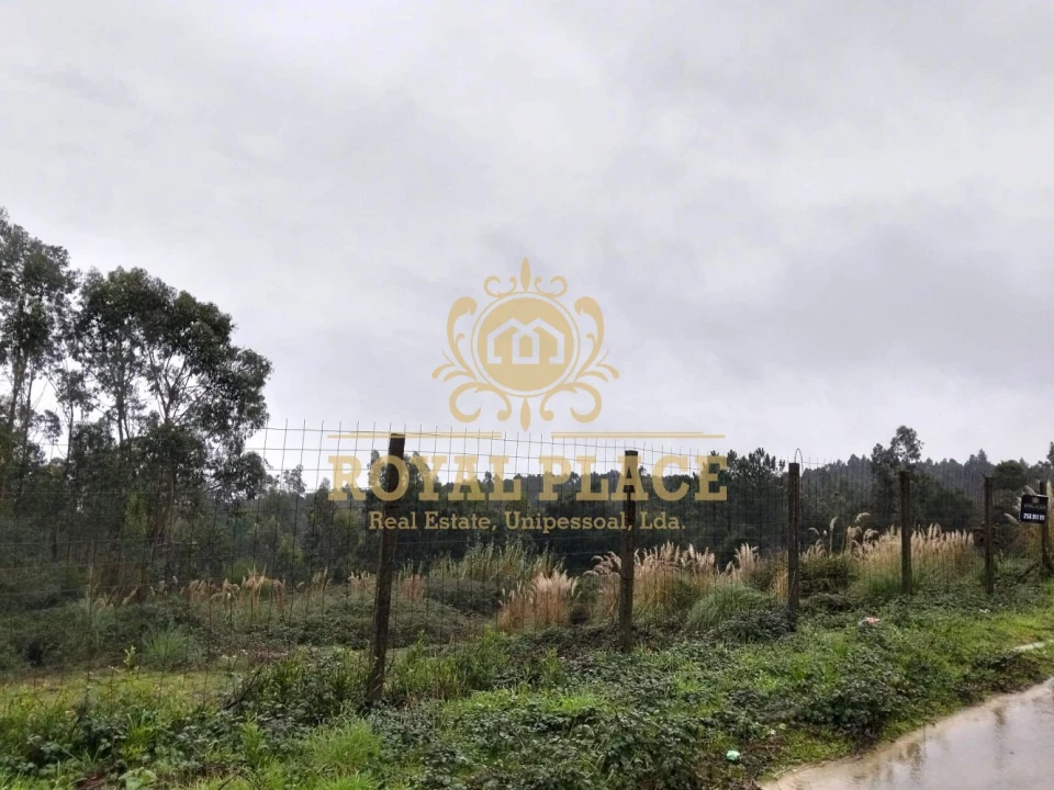 Terreno para Venda em Santa Maria da Feira, Travanca, Sanfins e Espargo Foto 2