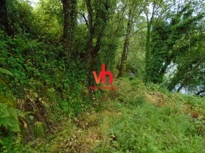 Quinta T2 para Venda em Amarante (São Gonçalo), Madalena, Cepelos e Gatão Foto 15