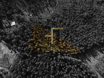 Terreno para Venda em Castêlo da Maia