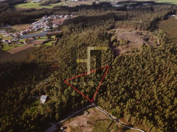 Terreno para Venda em Castêlo da Maia