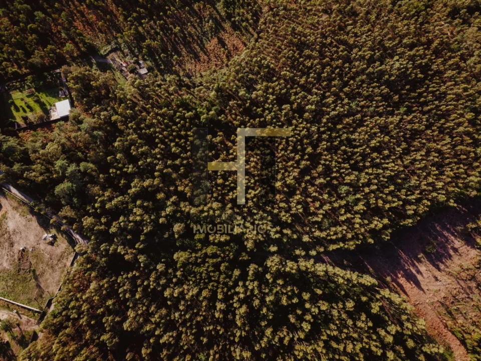 Terreno para Venda em Castêlo da Maia Foto 6