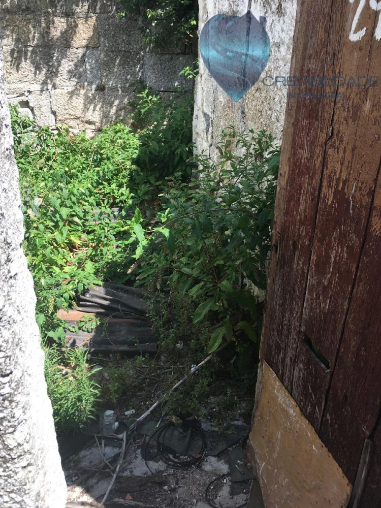 Loja para Venda em Oliveira, São Paio e São Sebastião Foto 4