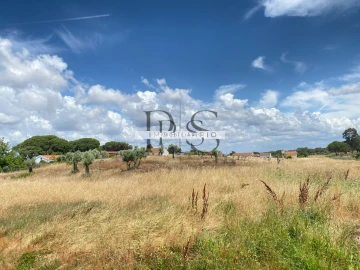 Quinta T3 para Venda em Grândola e Santa Margarida da Serra