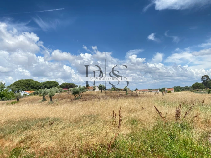 Quinta T3 para Venda em Grândola e Santa Margarida da Serra Foto 7
