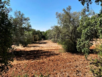 Moradia T3 para Venda em Santa Barbara de Nexe