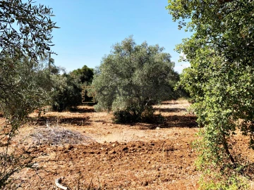 Moradia T3 para Venda em Santa Barbara de Nexe