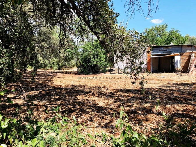 Moradia T3 para Venda em Santa Barbara de Nexe Foto 22