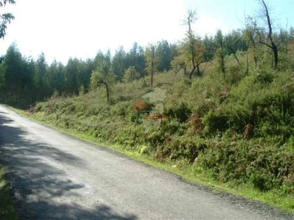 Terreno para Venda em Sertã Foto 1