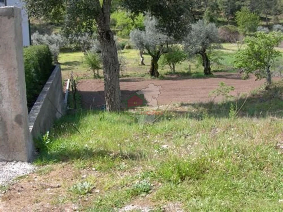 Terreno para Venda em Sertã Foto 4