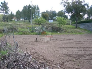 Terreno para Venda em Sertã