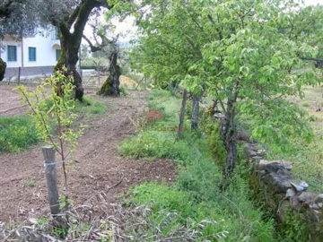 Terreno para Venda em Sertã