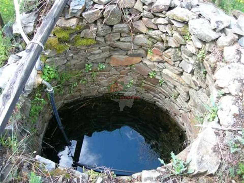 Terreno para Venda em Sertã Foto 2