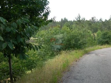Terreno para Venda em Troviscal