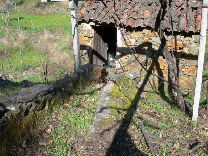Terreno para Venda em Troviscal Foto 2