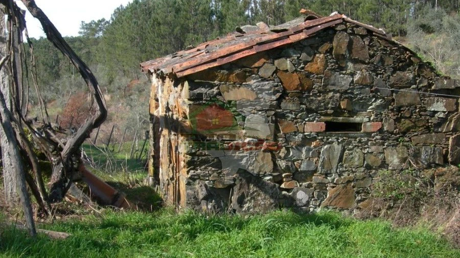 Terreno para Venda em Troviscal
