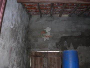 Terreno para Venda em Cernache do Bonjardim, Nesperal e Palhais