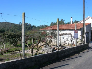 Terreno para Venda em Cernache do Bonjardim, Nesperal e Palhais
