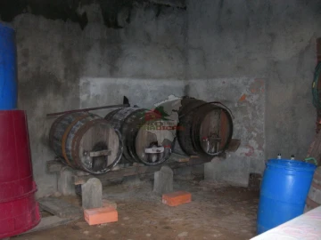 Terreno para Venda em Cernache do Bonjardim, Nesperal e Palhais