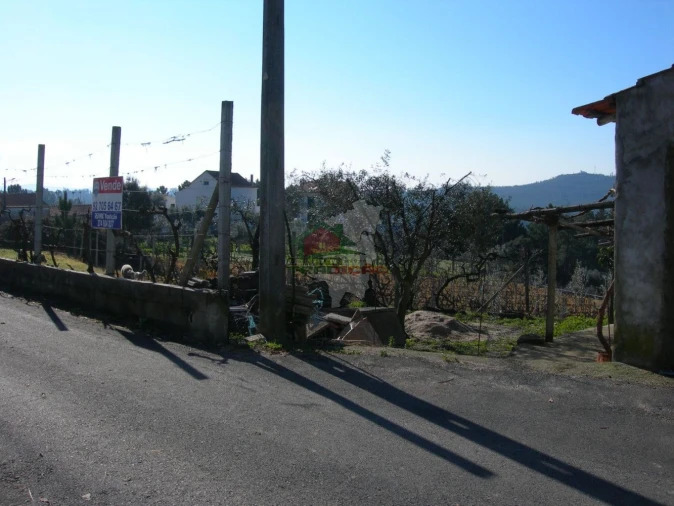 Terreno para Venda em Cernache do Bonjardim, Nesperal e Palhais Foto 7